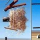 Illustration for article titled Serious Weapons: Navy Uses Poison Darts to Neutralize Surf Mines